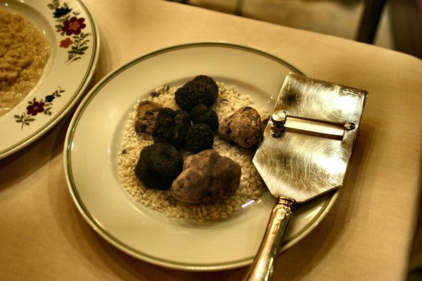 Tuber melanosporum : le joyau culinaire du Périgord